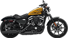 Mancuso Harley-Davidson® Central carries the latest Harley-Davidson® Sportster® models!